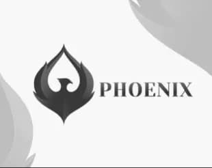Logo design portfolio sample 3